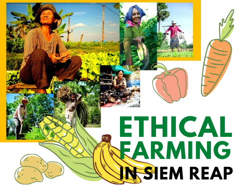 You are currently viewing Ethical Farming